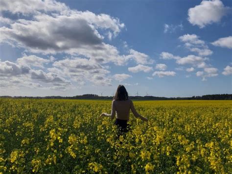 sex treffen solingen|Huren und Nutten in Solingen .